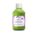 H Dupont Arasilk Silk Paint - 250 ml - Anise