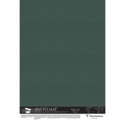 Pastelmat paquet 5F 100x140cm 360g - Vert foncé