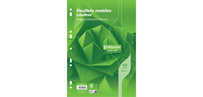 Feuillets mobiles sous film 7000 A4 100 pages perforées grands carreaux 80 g