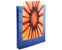 Classeur 4 anneaux plastifié Exacompta Kreacover® personnalisable A4 - Dos 2 cm couleurs assorties