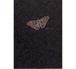 Flying Spirit carnet dos carré 60F 19x25cm 90g - Noir