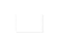 "1000 feuilles de listing autocopiantes blanc 330x8 1/2"" 2plis Bandes Caroll Détachables" - Blanc
