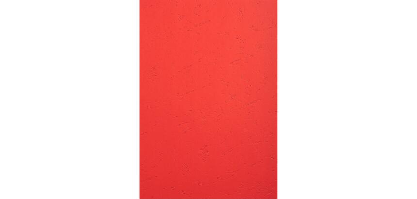Paquet de 25 couvertures grain cuir pour reliure A4 - Couleurs assorties