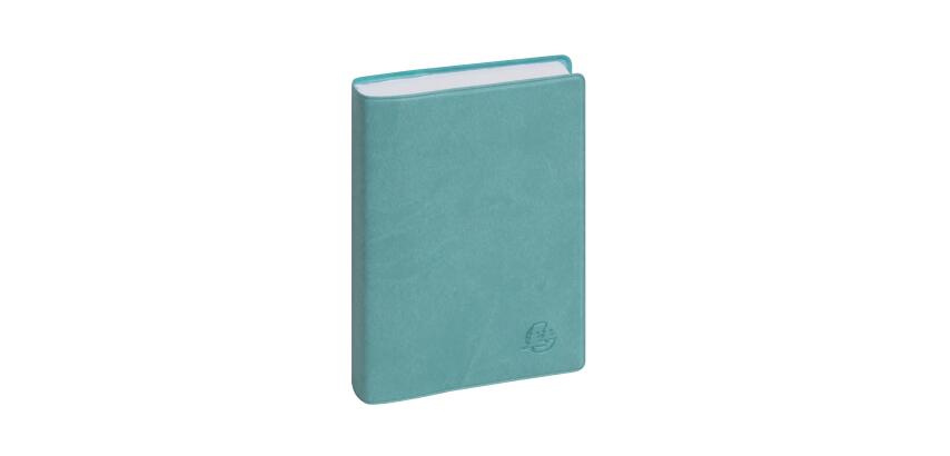 Agenda de poche EasyDay 15 Ondine 10 x 15 cm Journalier Janvier à Décembre 2027 - Couleurs assorties