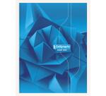 Cahier brochure rembordée rigide 7000 24x32 cm 192 pages grands carreaux 70 g - Assortis