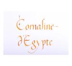 Encre 1798 à paillettes argentées - Cornaline d’Egypte