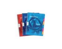 Textes reliure intégrale 7000 17x22 cm 100 pages grands carreaux 70 g - Assortis