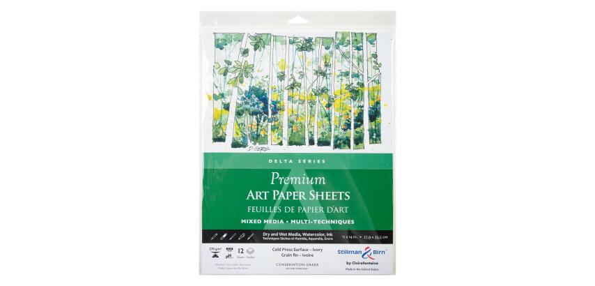 Sachet 12 feuil Delta 270g -27,9x35,5cm - Ivoire