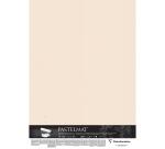Pastelmat, Papier für Pastellmalerei, 5 Bogen 70x100 cm, auf Karton gegenkaschiert 1,8mm - Beige