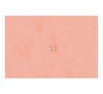 Exacompta Aquarel Elasticated Folder, 3 Flap, A4
