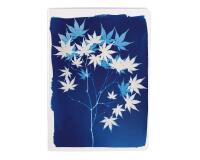 Cyanotype, Carnet cousu fil A5 14,8x21 cm, 64 pages, ligné, ass.