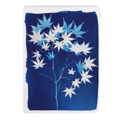 Cyanotype, Genaaid gebonden A5-notitieboek 14,8x21 cm, 64 pagina's, gelinieerd, ass.