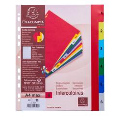 Separadores Separadores con pestañas impresas Polipropileno 12/100º - Surtidos brillantes - Colores surtidos vivos
