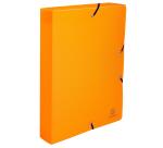 Linicolor Filing Box PP 40mm Spine A4 - Assorted colours