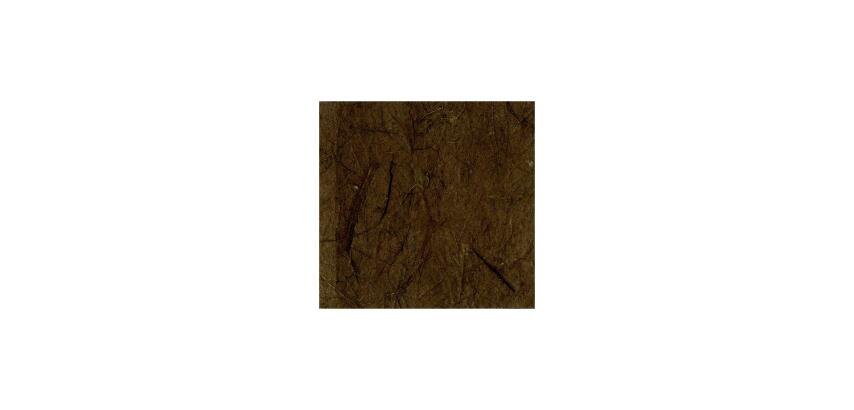 PAPIER MÛRIER, Étui de 10 feuilles 25g/m2 au format 65x95cm - Chocolat