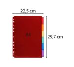Exacompta PP Dividers, A4, 6 part - Assorted colours