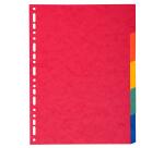 Div Forever Divider A4+ 220g 5P Bright - Assorted colours