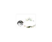 COLLECTION EUCALYPTUS, Paquet de 20 enveloppes imprimées Pollen 114x162mm 120g/m2 - Vert 1 - Vert