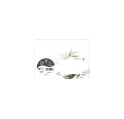 COLLECTION EUCALYPTUS, Paquet de 20 enveloppes imprimées Pollen 114x162mm 120g/m2 - Vert 1 - Vert