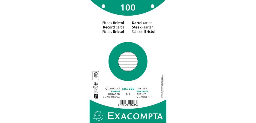 Pk100 Exa Rec Card 12.5x20 Sq Punch Wht - White