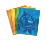<em>Starr umwickeltes Broschürenheft 7000 17x22 cm 192 Seiten große Karos 70 g - Sortiert</em>