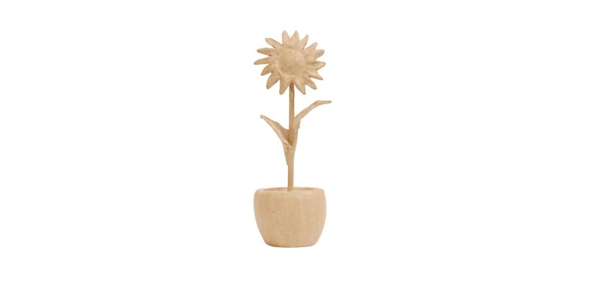 Potted Sunflower - Kraft