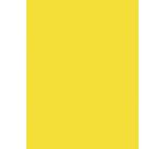 Coloured Poster Paper - 60 x 80 cm - 25 Sheets - 90gsm