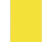 PAPIER AFFICHE PEINTE, Paquet de 25 feuilles 90g/m2 au format 60x80cm - Jaune citron