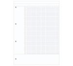 CORNELL cursusblok A4, 100 blad met 4-gaatsperforatie Cornell kleine ruitjes - Pruim