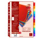Exacompta PP Dividers, A4, 12 part - Assorted colours