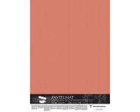 Pastelmat op karton 5F 70x100cm - Sanguine