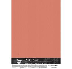 Pastelmat op karton 5F 70x100cm - Sanguine