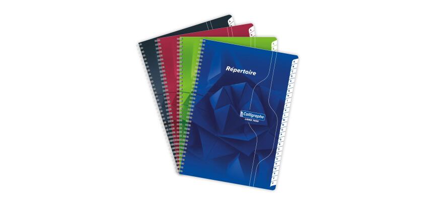 Répertoire reliure intégrale 7000 A4 180 pages petits carreaux 70 g - Assortis