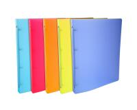 Classeur 4 anneaux plastifié Exacompta Linicolor A4 - Dos 2 cm couleurs assorties