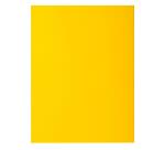 Paquet de 50 chemises 2 rabats ROCK''S 210 - 24x32cm