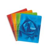 Cahier reliure intégrale 7000 17x22 cm 100 pages grands carreaux 70 g - Assortis