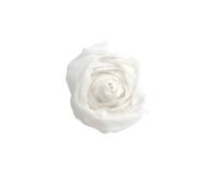 Crepe paper, (w)500 mm x (L)2 m, white