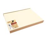 Barquette de 100 sets de table spundbond, unis - Format 30x40cm