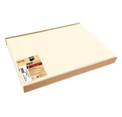 Barquette de 100 sets de table spundbond, unis - Format 30x40cm