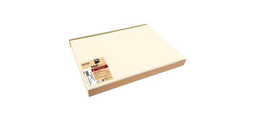 Barquette de 100 sets de table spundbond, unis - Format 30x40cm