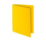 Pack of 100 square cut folders ROCK''S 210 - 24x32cm