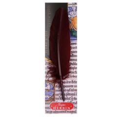 Plume d'oie taillée sur broche