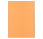 Pack of 100 folders SUPER 60 - 22x31cm