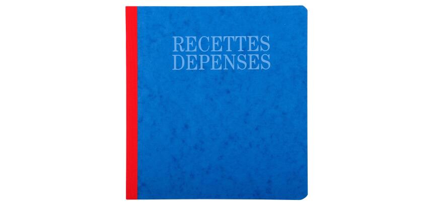 PIQ. 21/19 RECETTES-DEPENSES 80 PAGES - Assorted colours