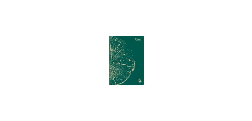 Cahier piqué FOREVER PREMIUM 100% recyclé A4 96 pages ligné papier recyclé blanc 90 g - Vert pin