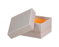 Rhodiarama set 5 boîtes gigognes simili cuir italien 44x34x16 cm - Argent