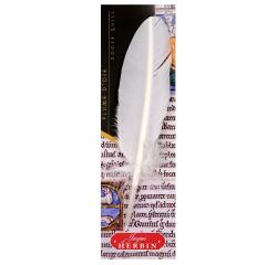 Plume d'oie taillée sur broche