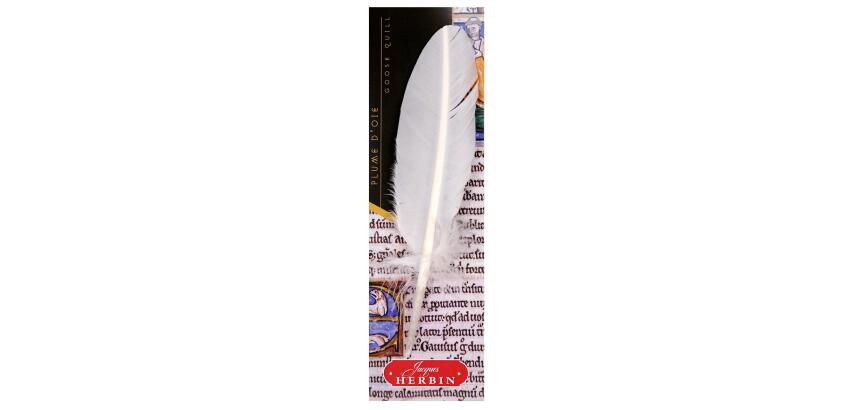 Plume d'oie taillée sur broche