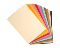 Tulipe rame 24F A4 160g - Assortiment pastel