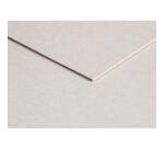Grijs karton 10 vel 80x120cm 1,5mm 975g - Grijs